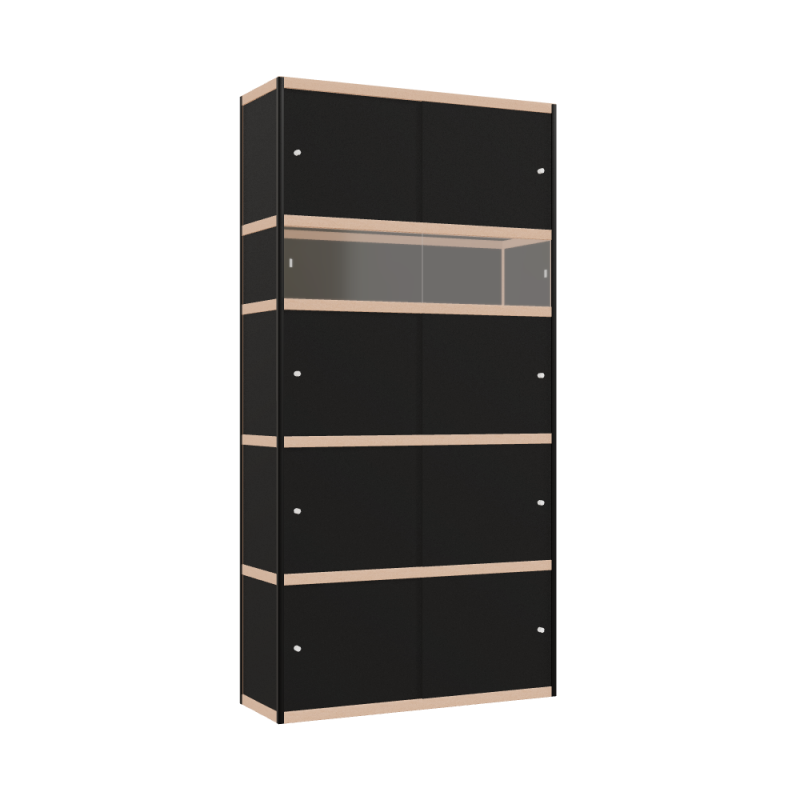 Cabinet (239x120x42 cm)