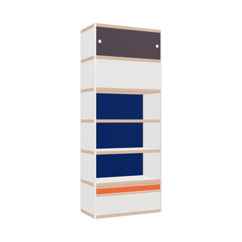 Cabinet (250x100x52 cm)