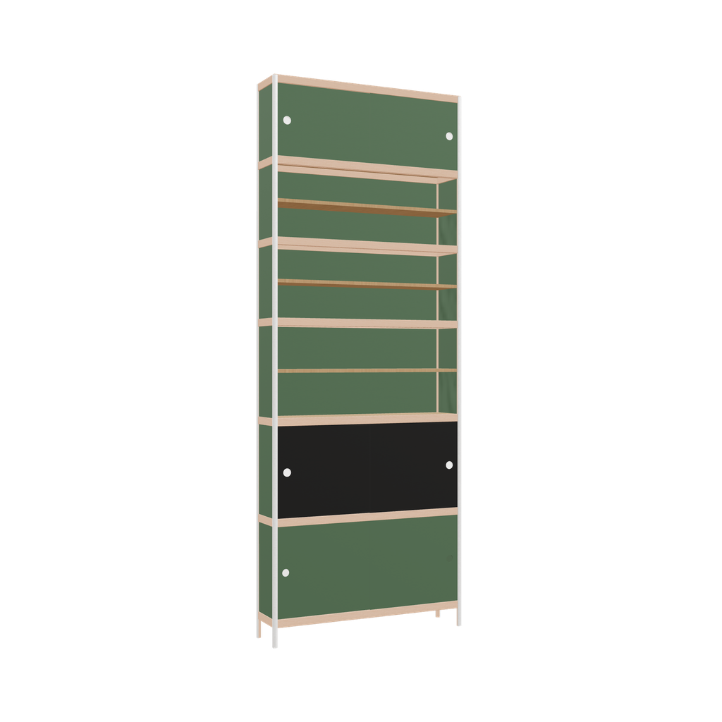 Cabinet (290x110x25 cm)