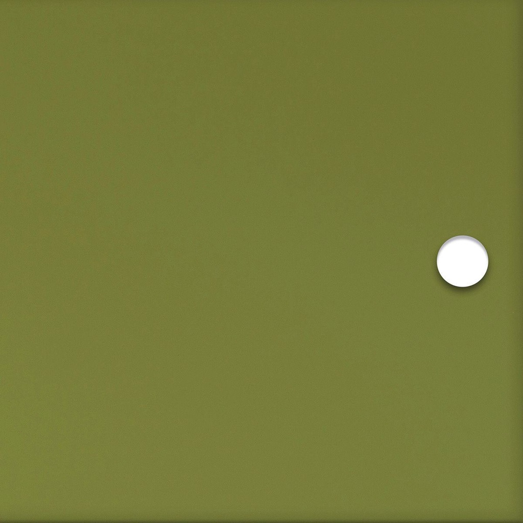 Porte en acrylique translucide Olive