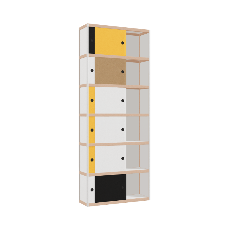 Cabinet (250x100x32 cm)