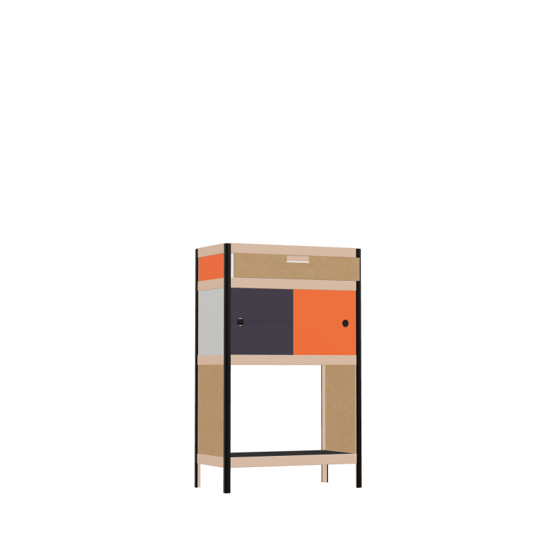Cabinet (100x62x32 cm)