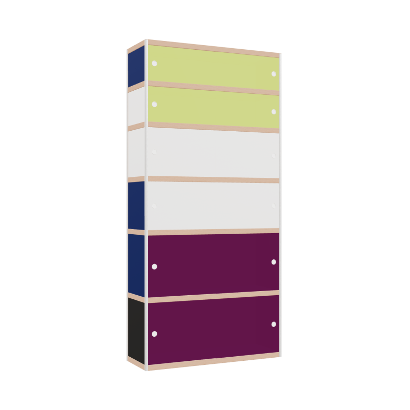 Kast (250x120x42 cm)