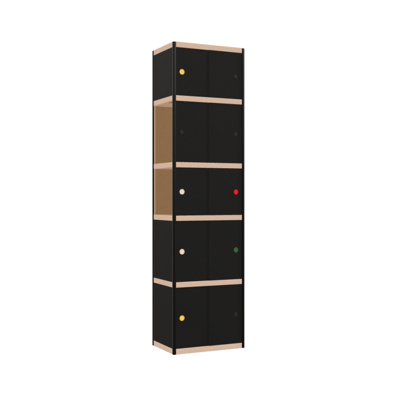 Cabinet (239x62x42 cm)