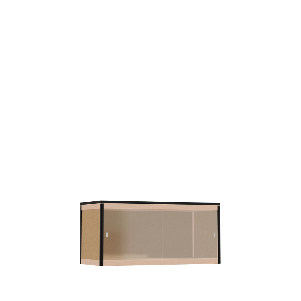 Low cabinet (46.8x100x42 cm)