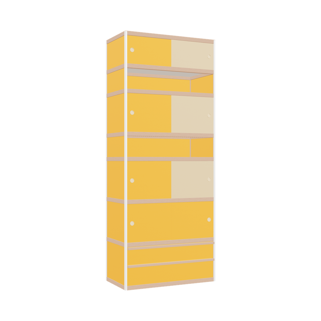 Cabinet (247x100x52 cm)