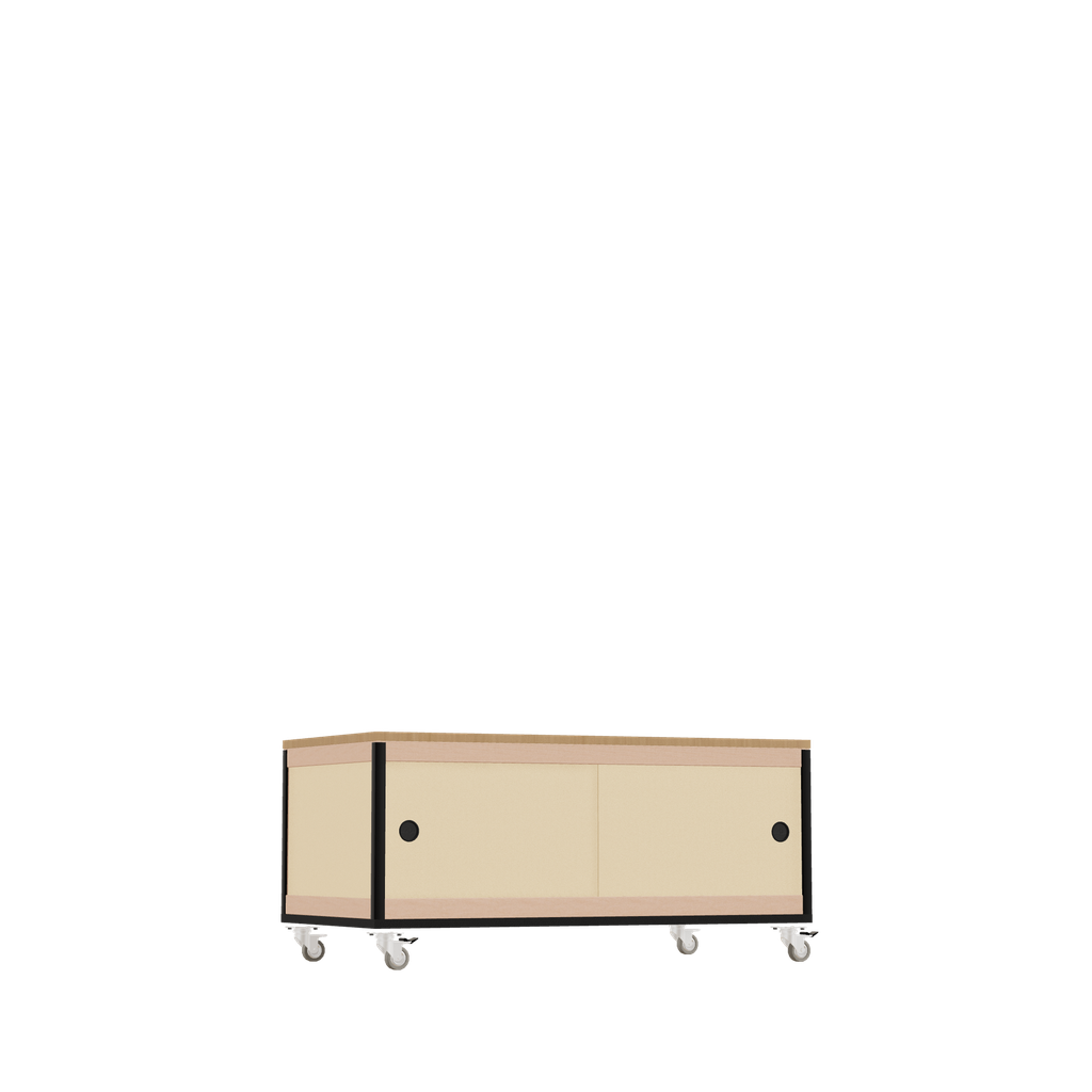 Low cabinet (45.8x100x52 cm)