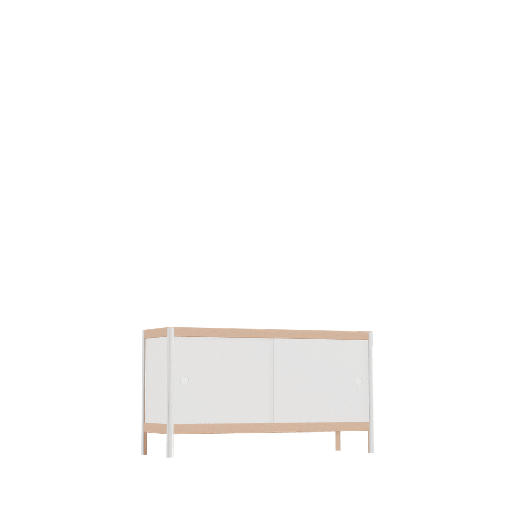 Meuble bas (55x100x32 cm)