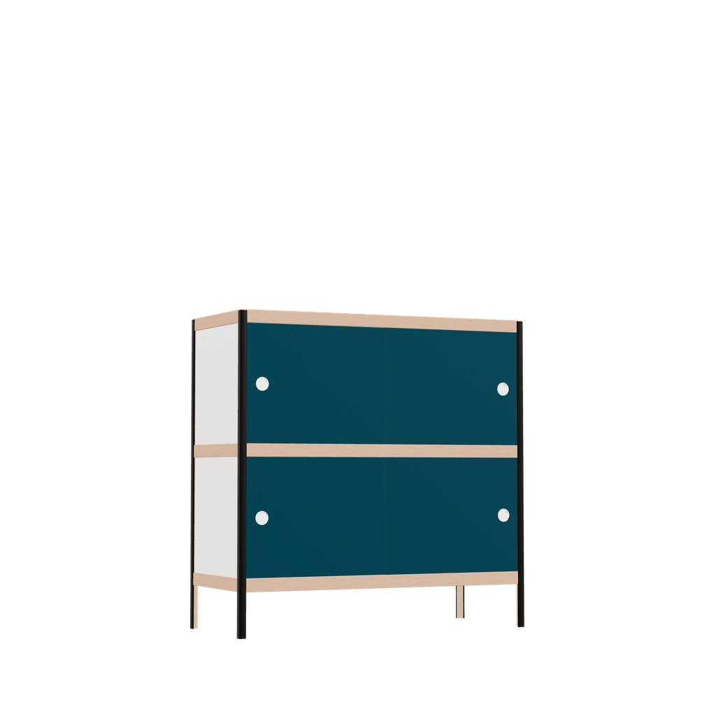 Kast (100x100x42 cm)