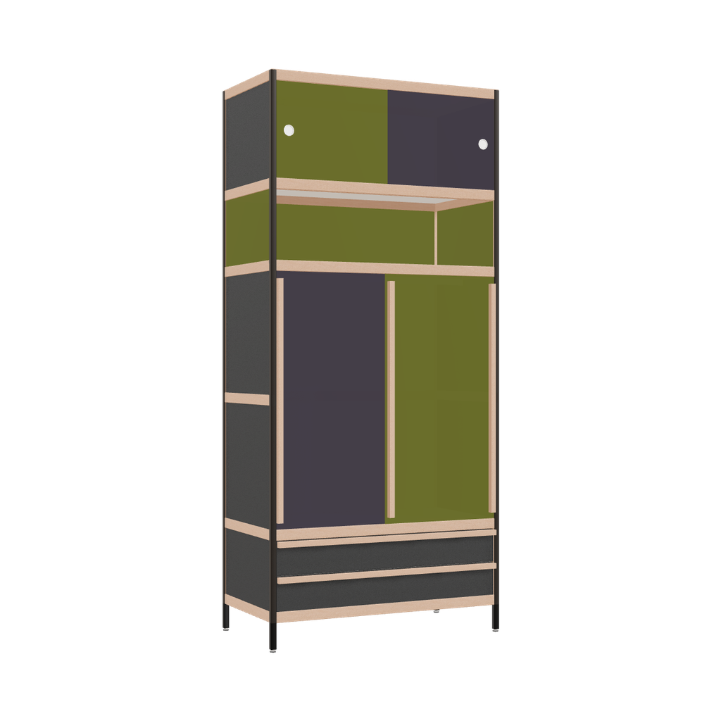 Kleerkast (220x100x52 cm)