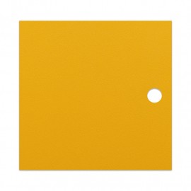 Yellow MDF door