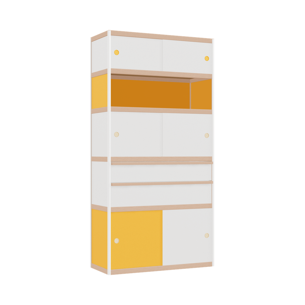 Cabinet (199x100x42 cm)
