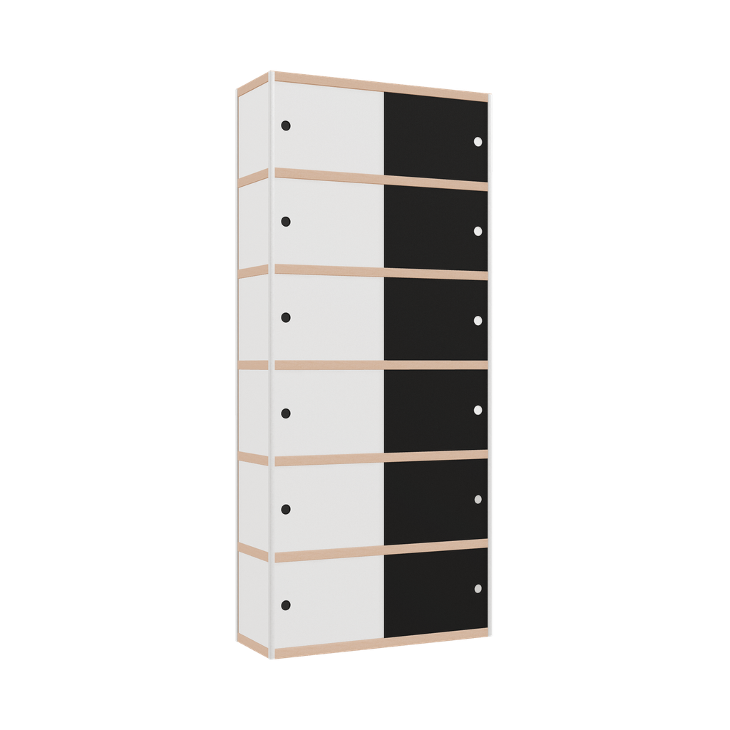 Cabinet (250x110x42 cm)