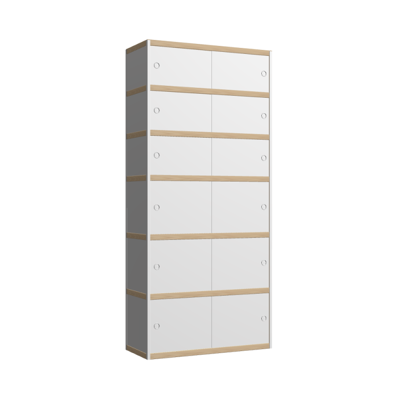 Cabinet (220x100x42 cm)