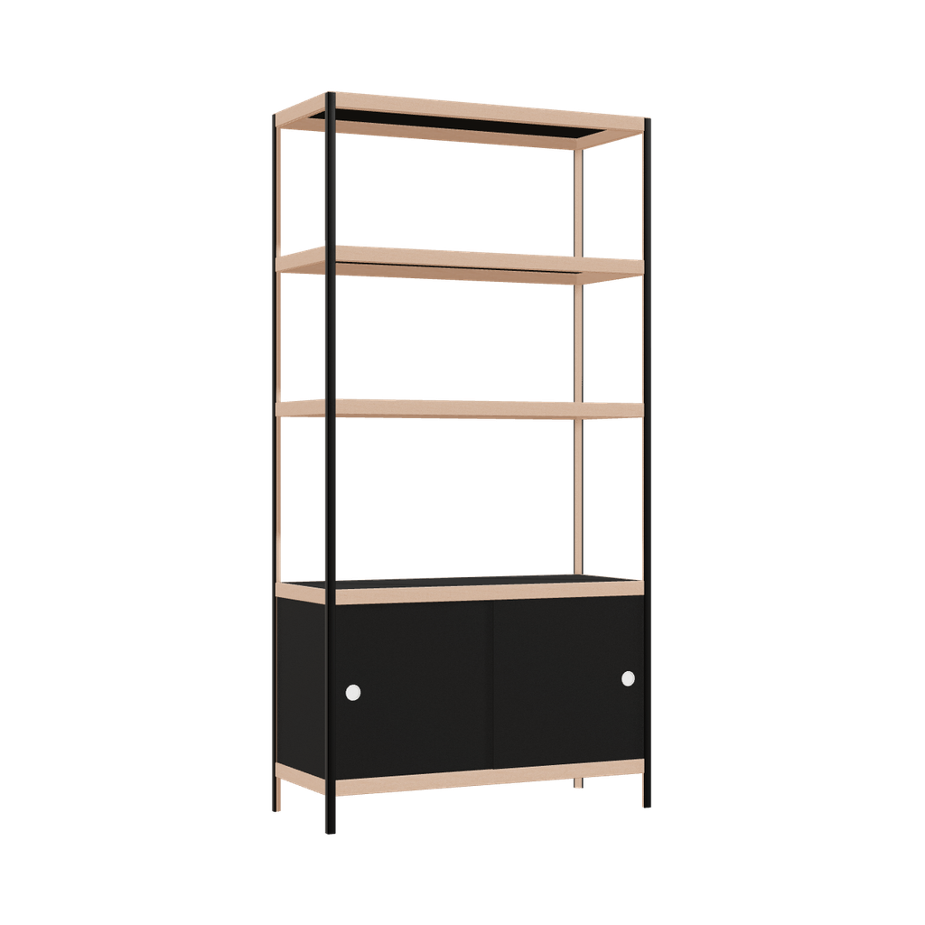 Kast (198x100x42 cm)