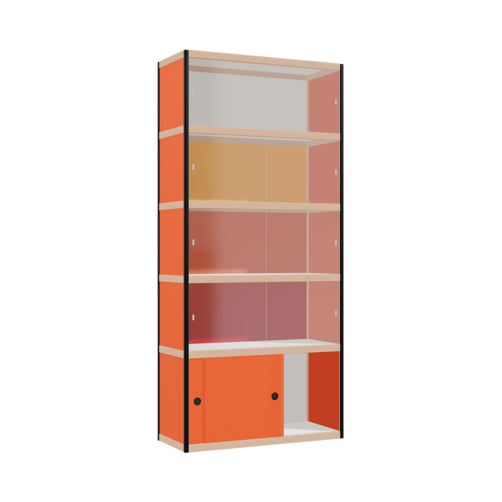 Display cabinet (219x100x42 cm)