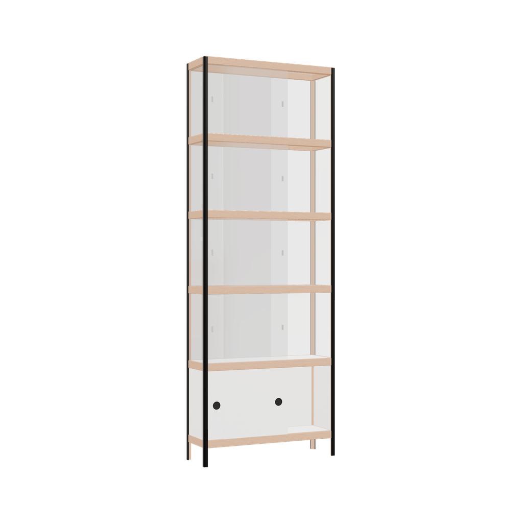 Vitrine (219x80x25 cm)