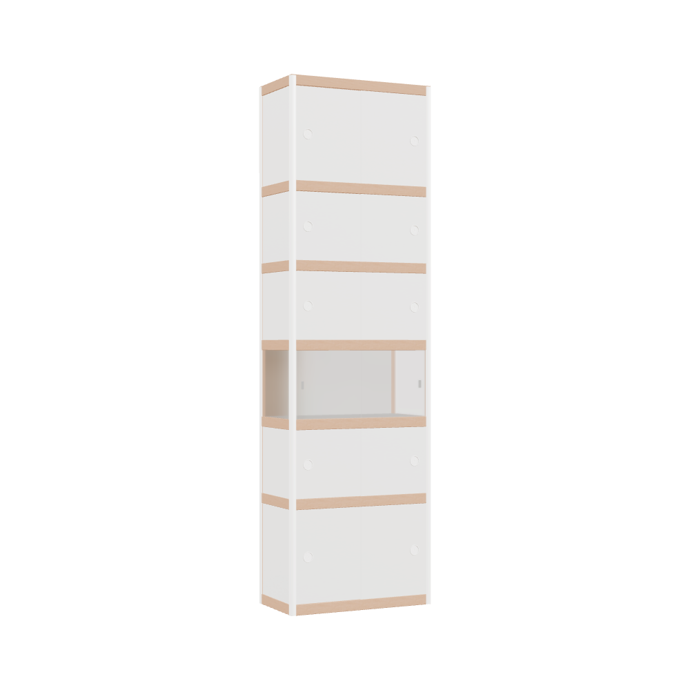 Cabinet (210x62x32 cm)