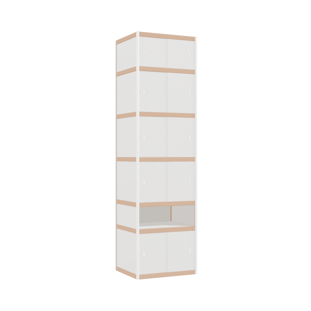 Cabinet (223x62x52 cm)