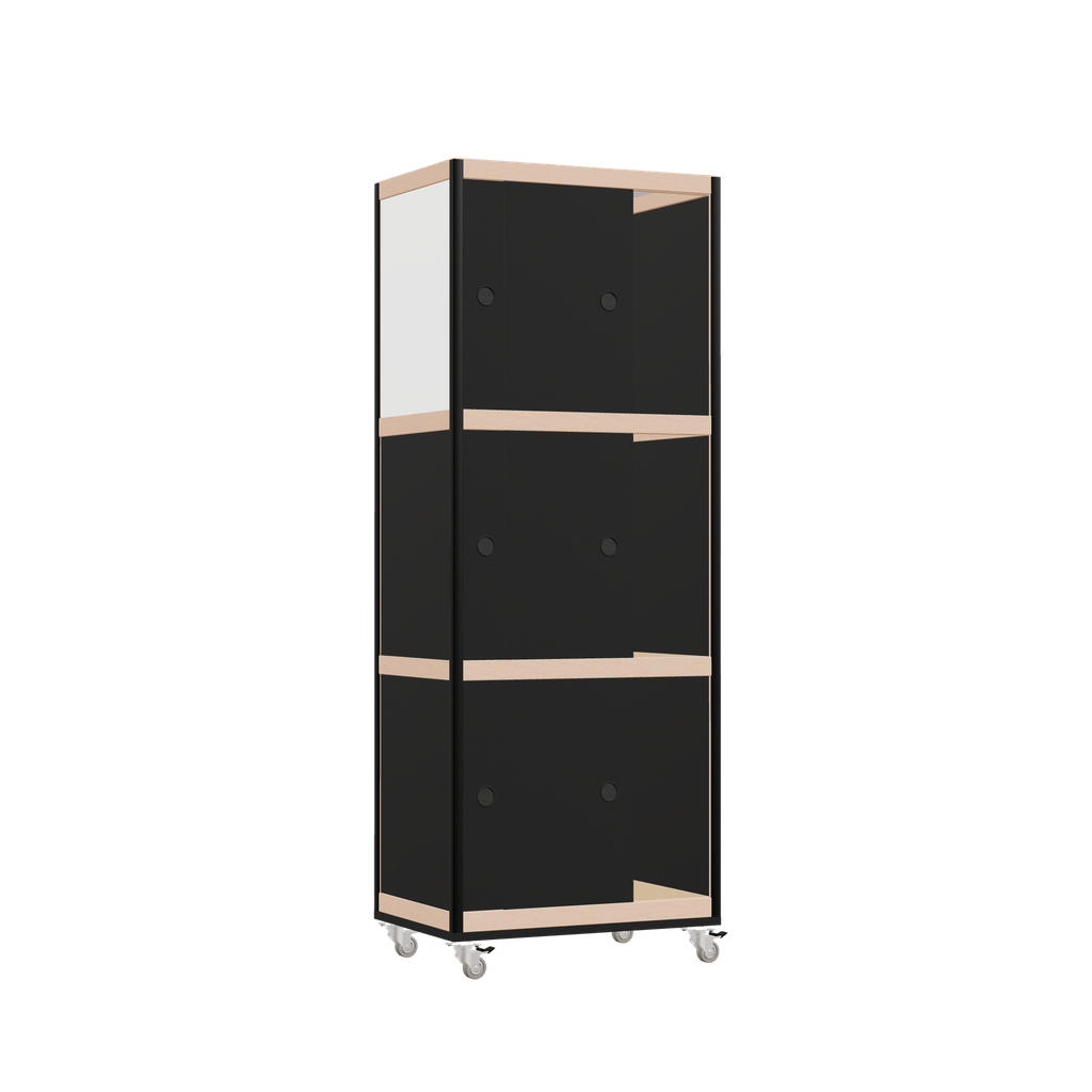 Armoire (166x62x42 cm)