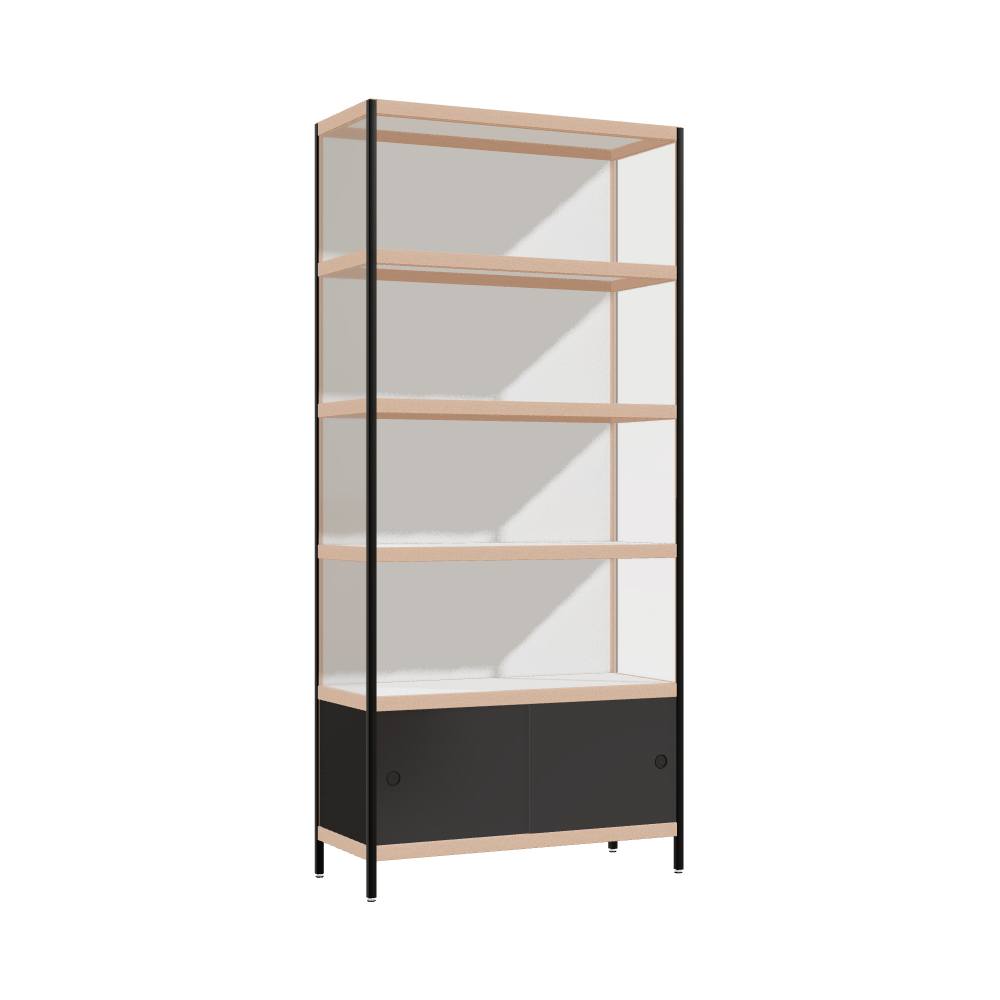 Cabinet (220x100x42 cm)
