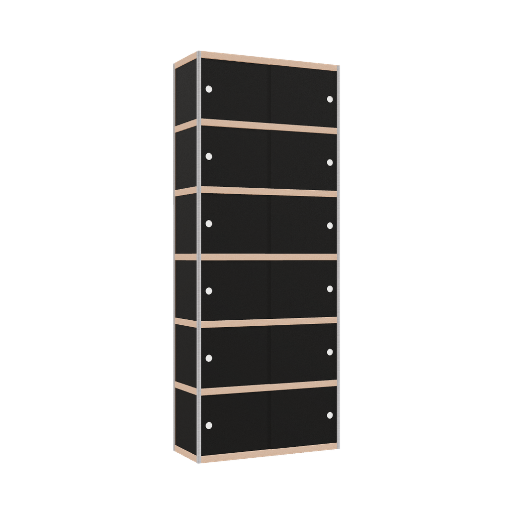 Cabinet (250x100x42 cm)