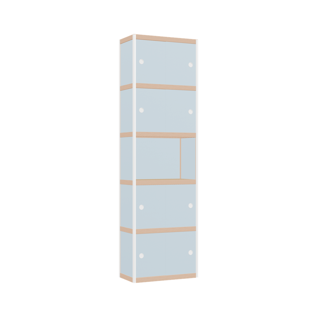Cabinet (209x62x32 cm)