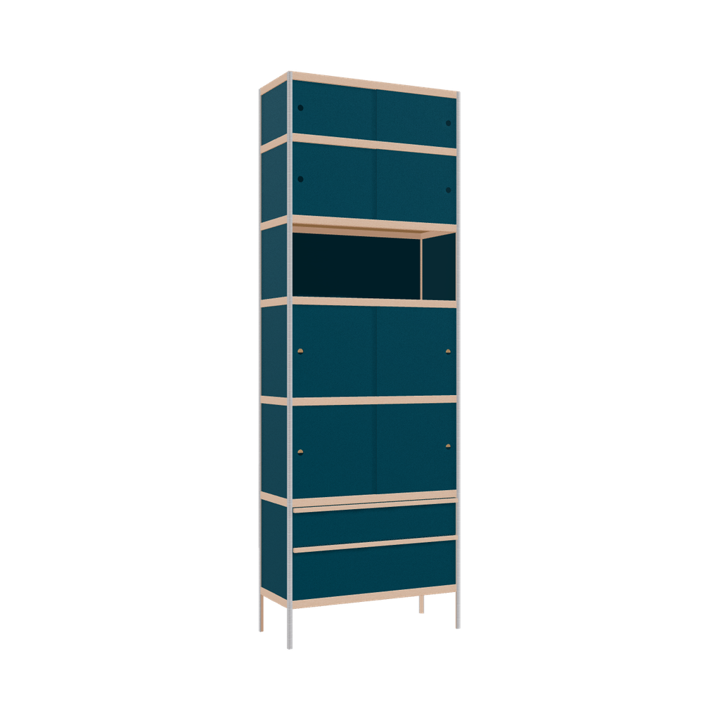 Kast (290x100x42 cm)