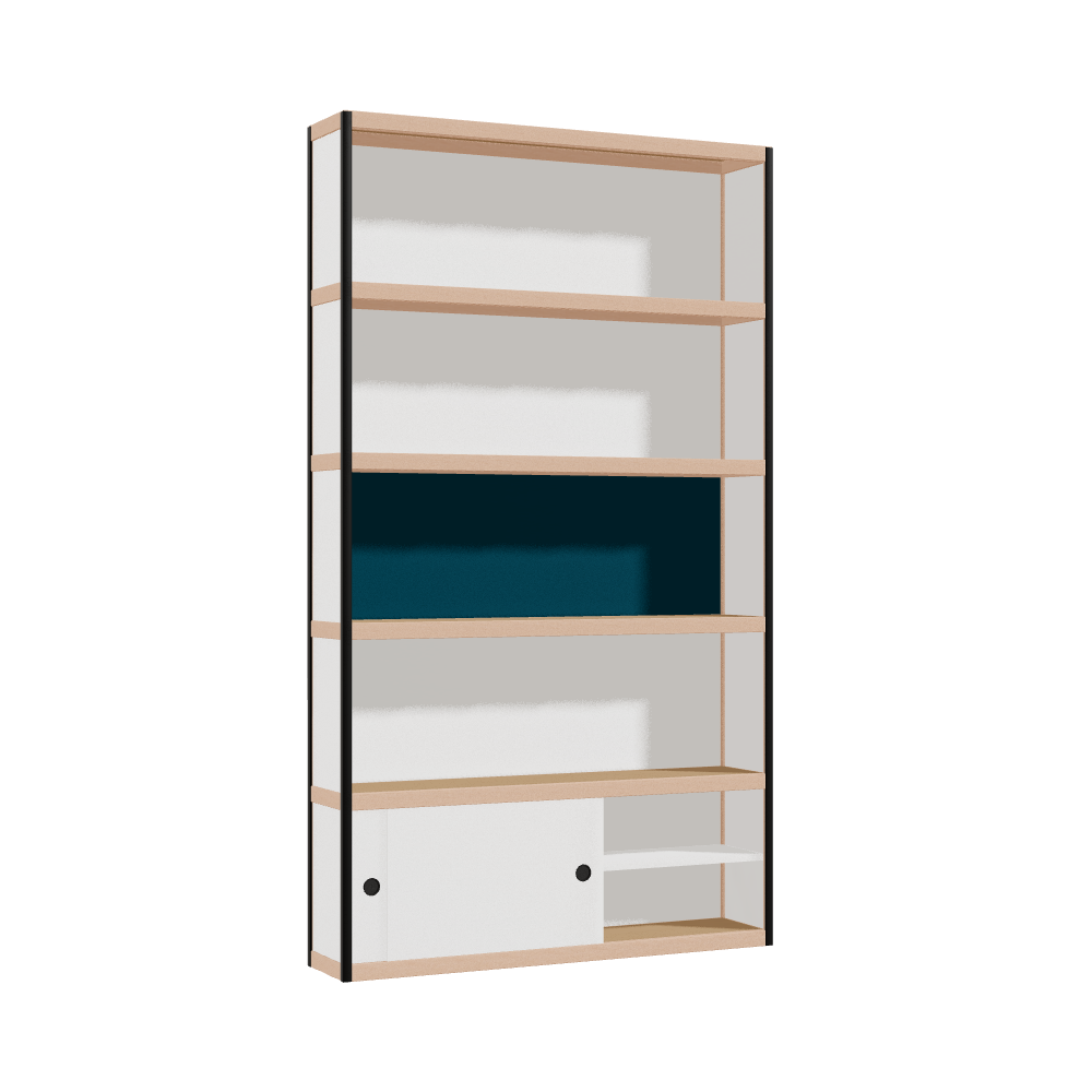 Cabinet (209x120x25 cm)