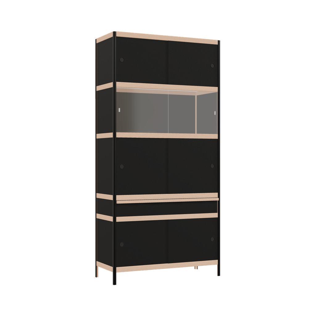 Kast (205.5x100x42 cm)