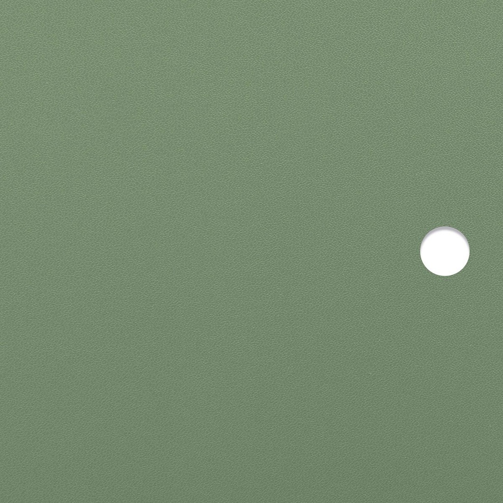 Linden green MDF door