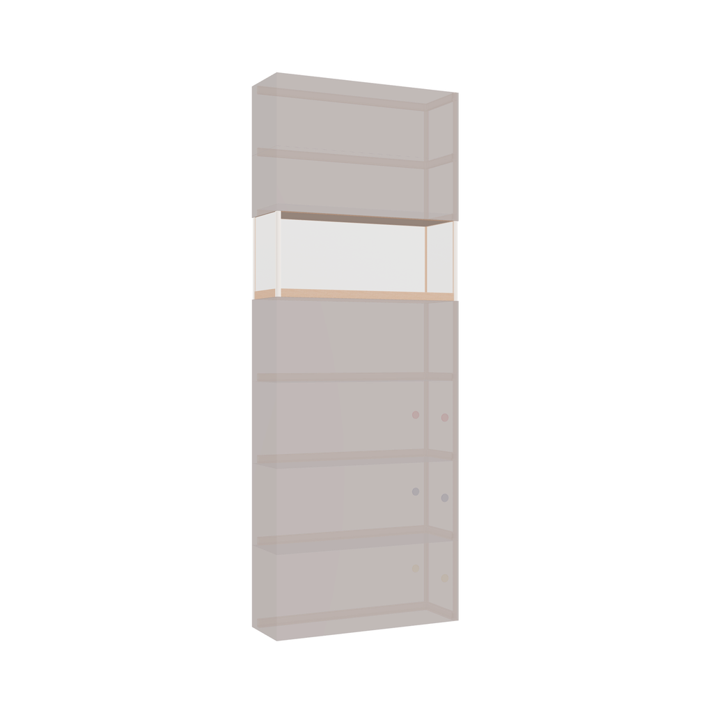 Cabinet (271x100x32 cm)