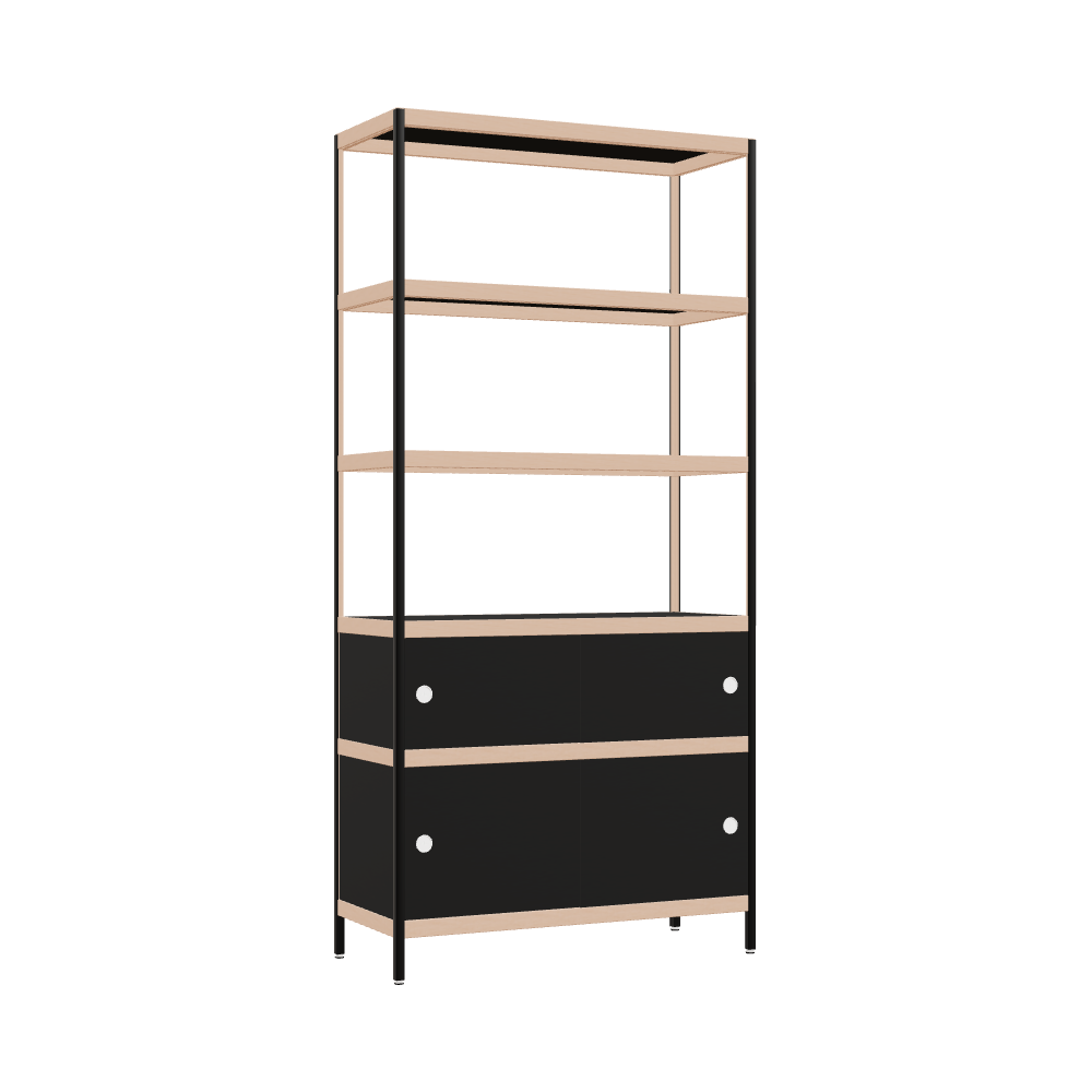 Kast (210x100x42 cm)