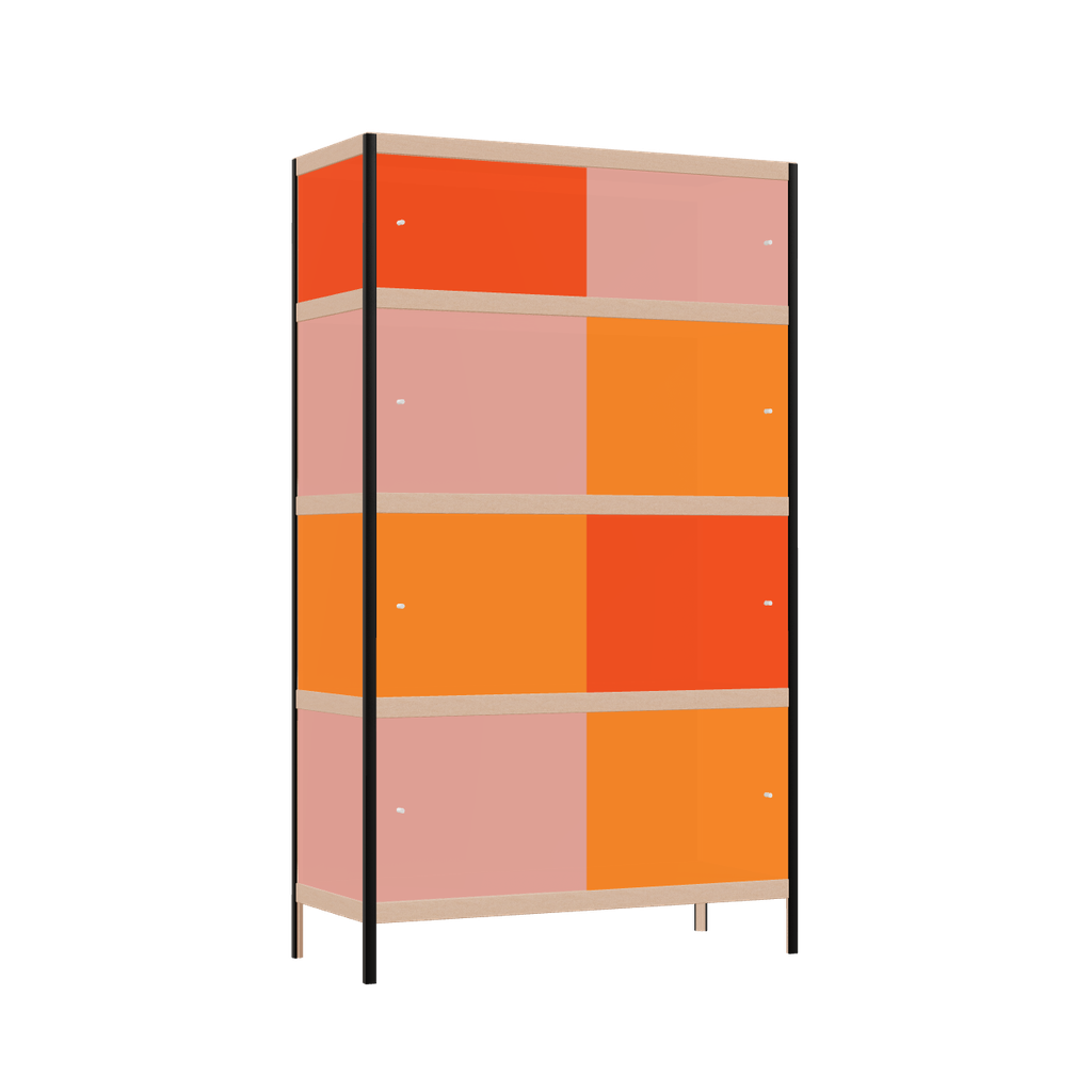 Cabinet (170x100x42 cm)
