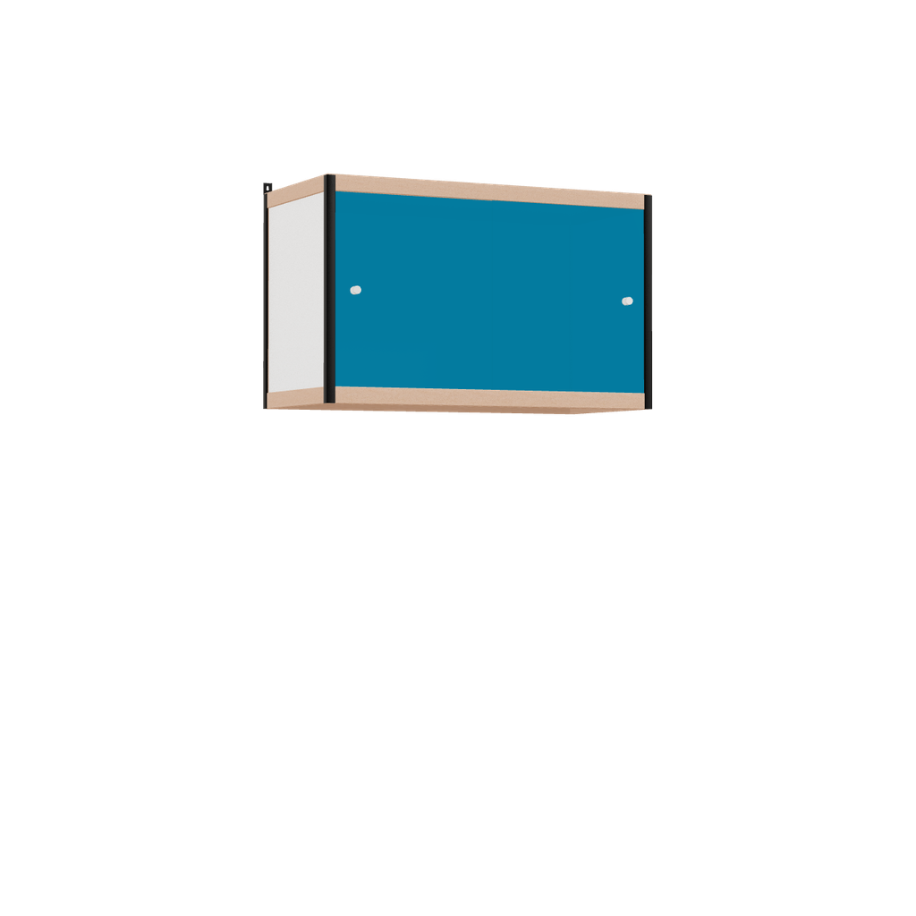Hanging cabinet (55x90x42 cm)