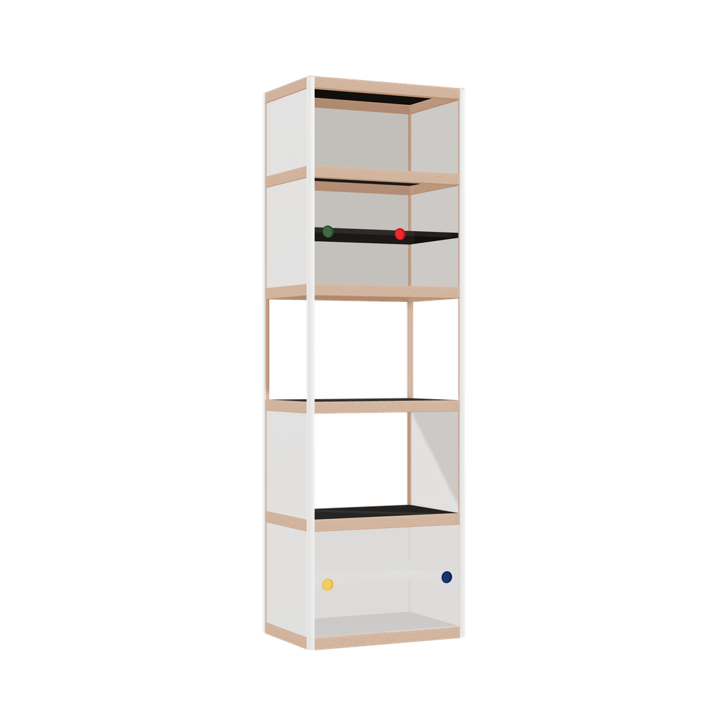 Cabinet (199x62x42 cm)