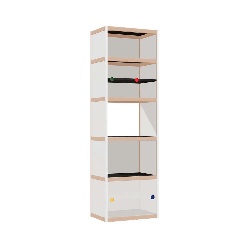 Cabinet (199x62x42 cm)