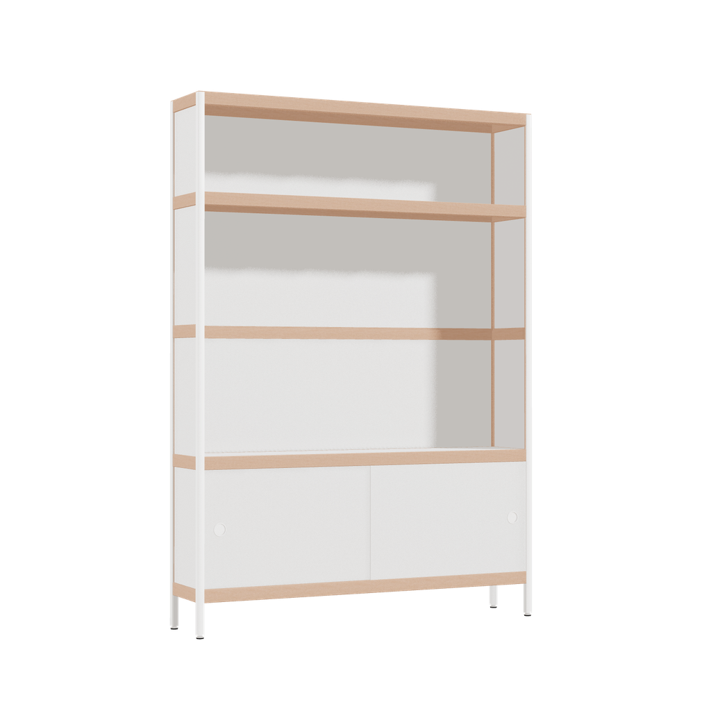 Cabinet (169x120x25 cm)