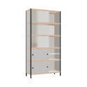 Kast (220x110x42 cm)