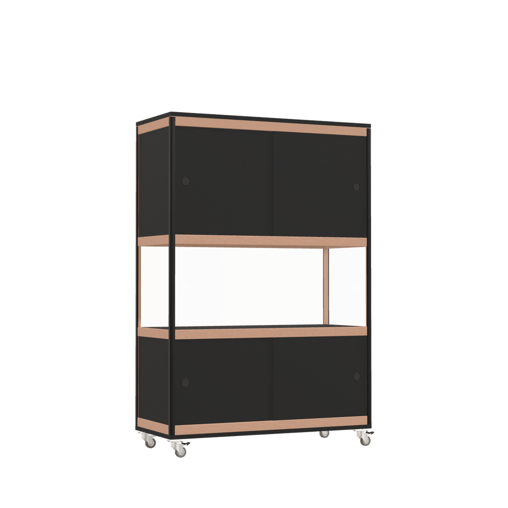 Cabinet (147.8x100x42 cm)