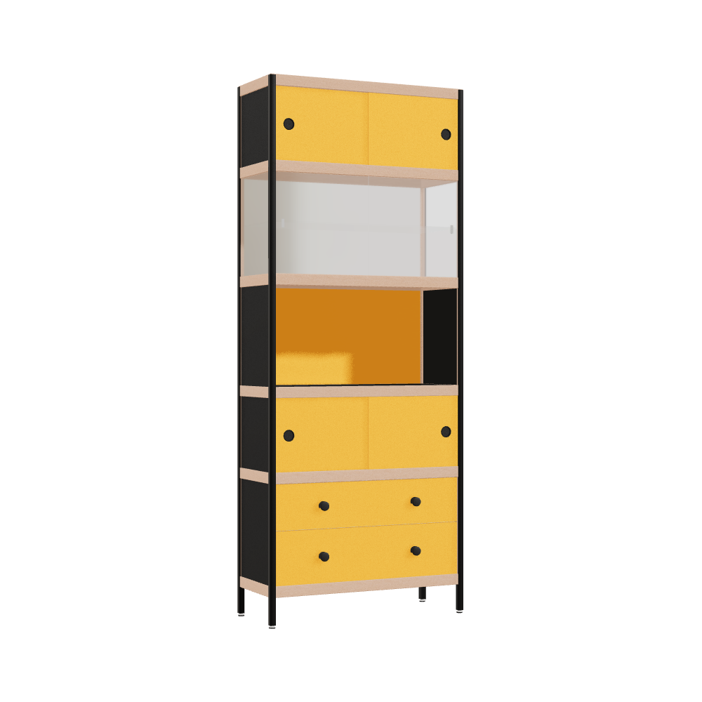 Cabinet (200x80x32 cm)
