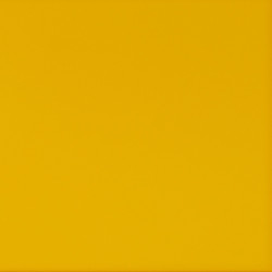 Mimosa translucent acrylic back panel