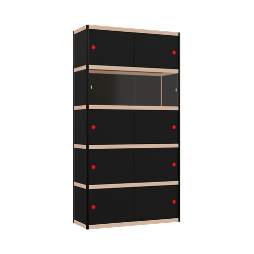 [400199356] Kast (209x110x42 cm)