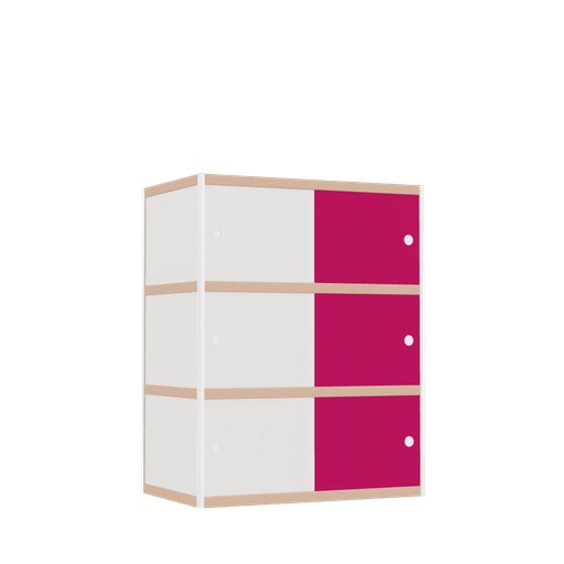 [400531598] Cabinet (127x100x62 cm)