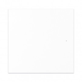 Deur in ondoorzichtig acryl Wit mat