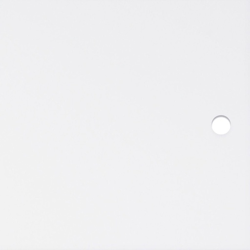 Porte en acrylique Transparent