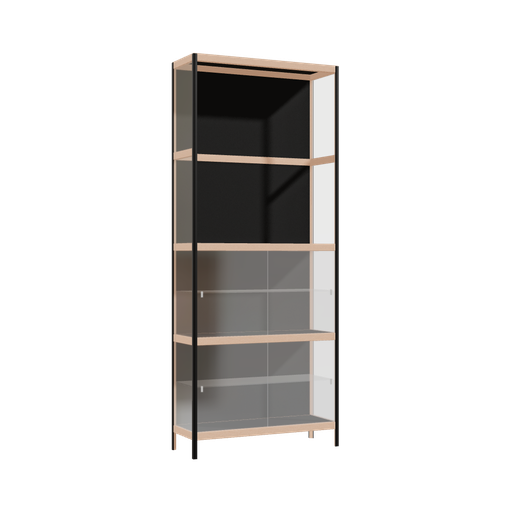 [400538743] Vitrine (218x90x32 cm)