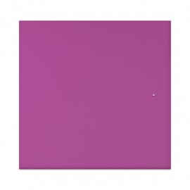 Deur in doorschijnend acryl Cyclaam