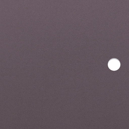 Porte en MDF Aubergine