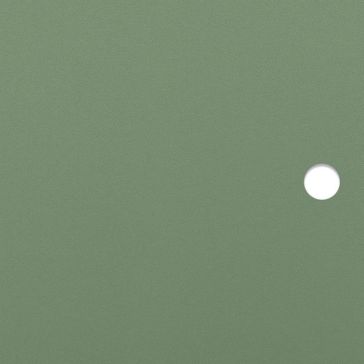 Linden green MDF door